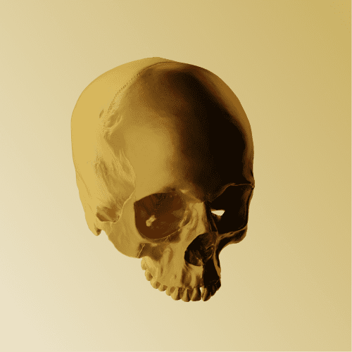 3D Skull
