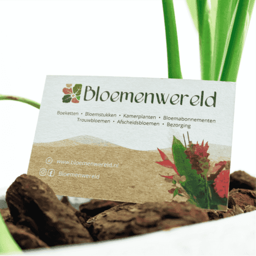 Visitekaartje-Bloemenwereld