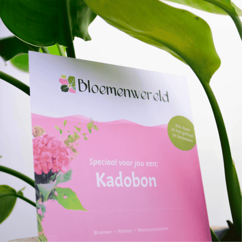 Kadobon ontwerp